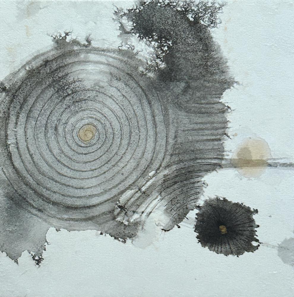 A Piece of Akasha 10