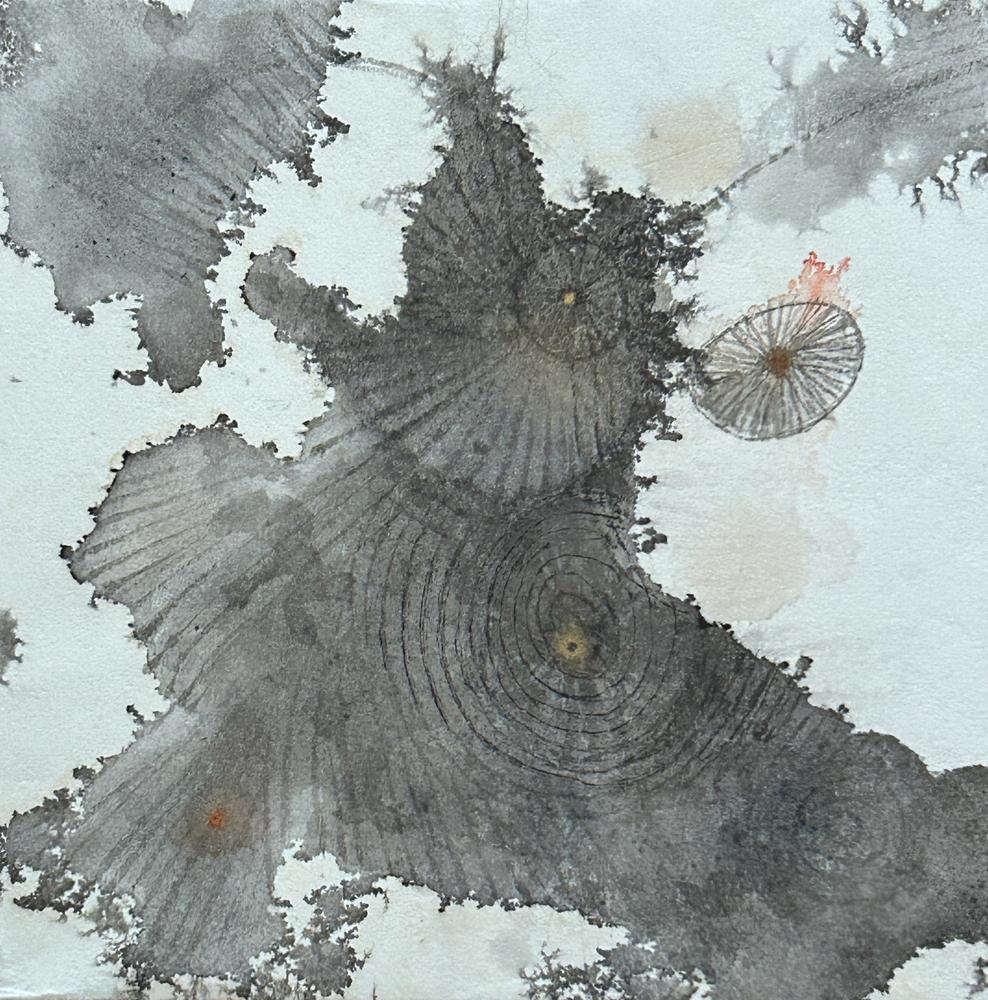A Piece of Akasha 12