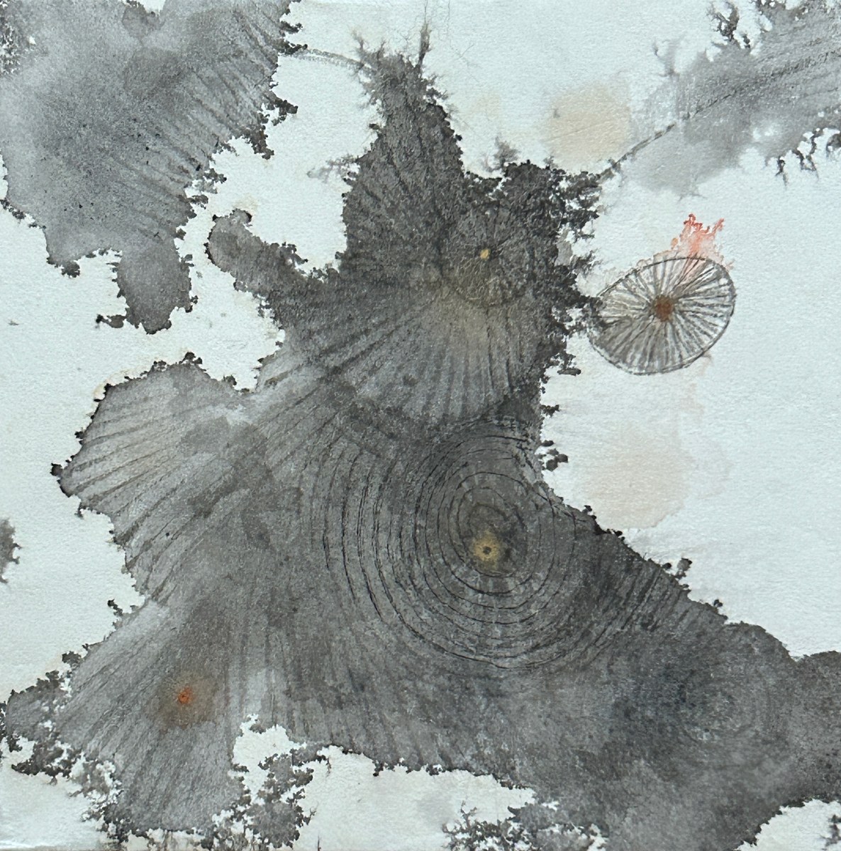 A Piece of Akasha 13